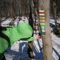 stezka v Chřibech "Cetechovicko"