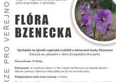 Exkurze pro veřejnost - Flóra Bzenecka