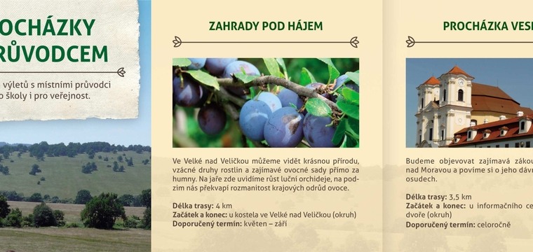 Procházky s průvodcem