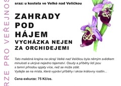 Exkurze pro veřejnost - Zahrady pod Hájem